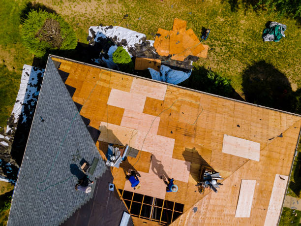 Best Metal Roofing Contractor  in Knollwood, IL