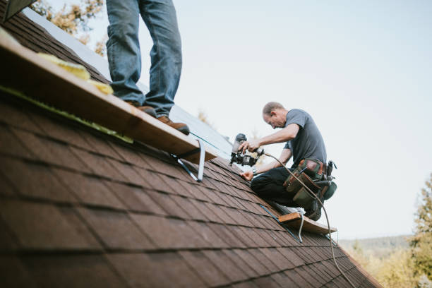 Quick and Trustworthy Emergency Roof Repair Services in Knollwood, IL